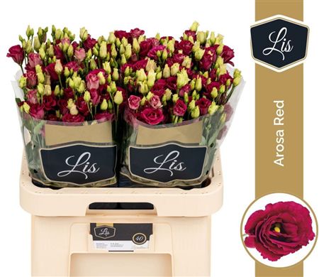 Lisianthus Do Arosa Red