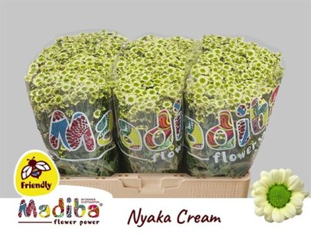 Chrys Sa Madiba Nyaka Cream
