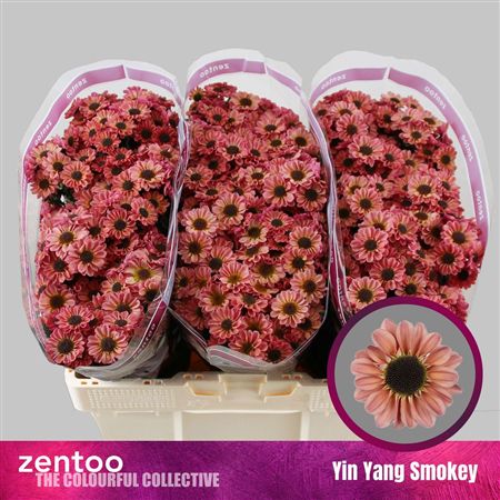 Chrys Sa Yin Yang Smokey